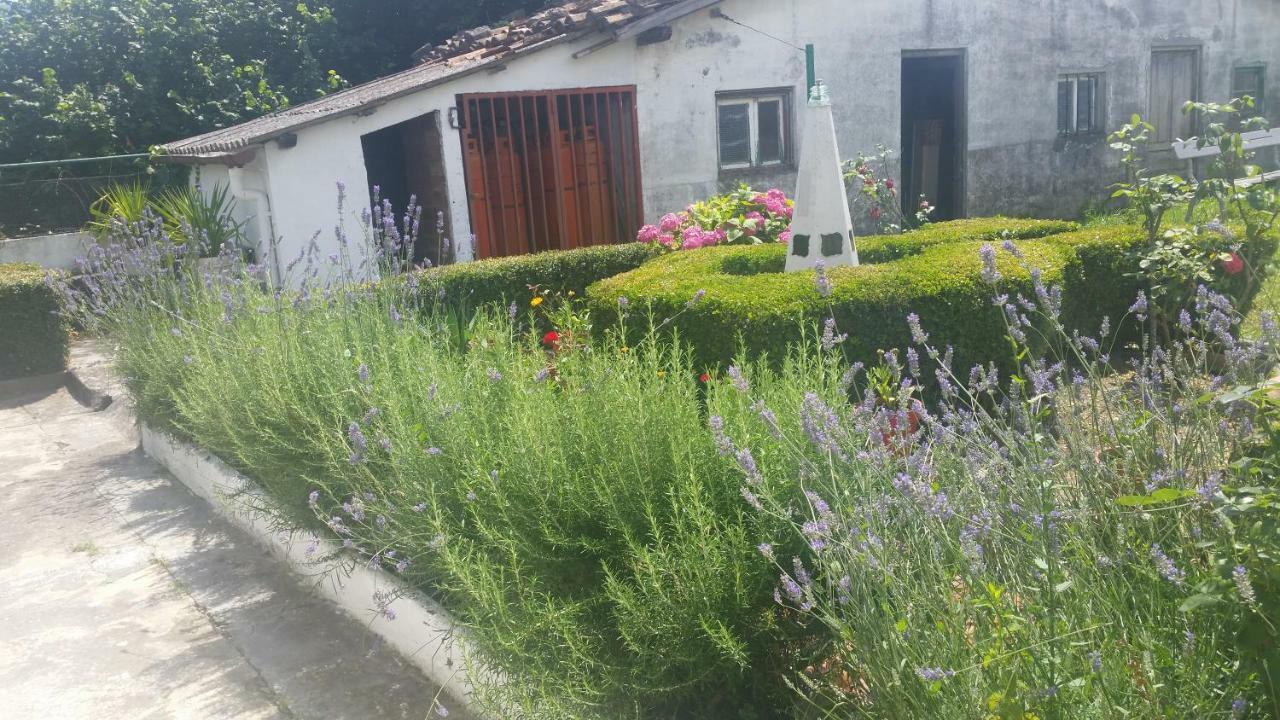 Zikoinaren Txokoa Βίλα Orduña Εξωτερικό φωτογραφία